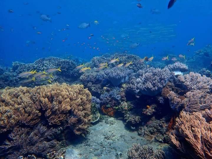艾湄湾 米诺里旅馆酒店 外观 照片